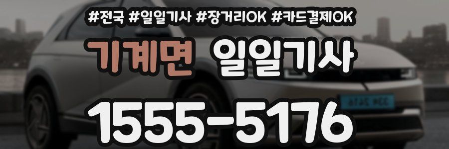 기계면 일일기사