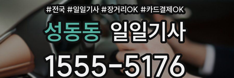 성동동 일일기사