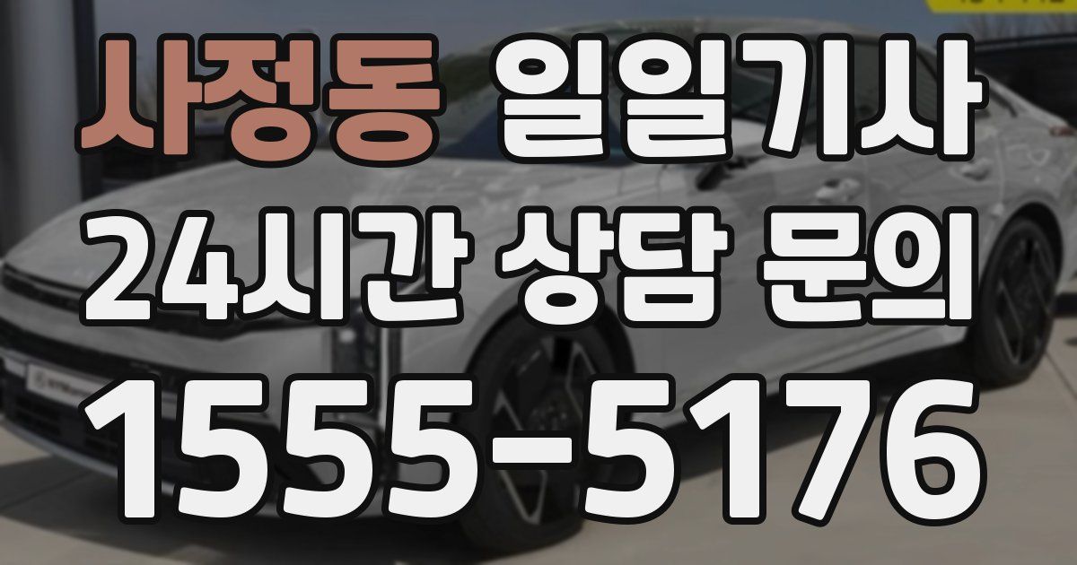 일일대리기사