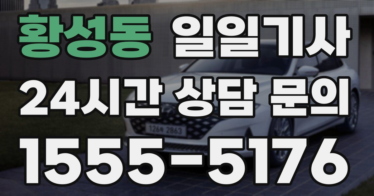 일일대리기사