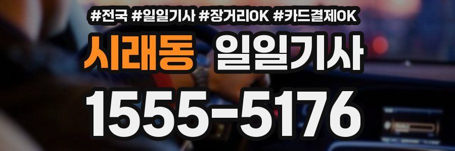 시래동 일일기사