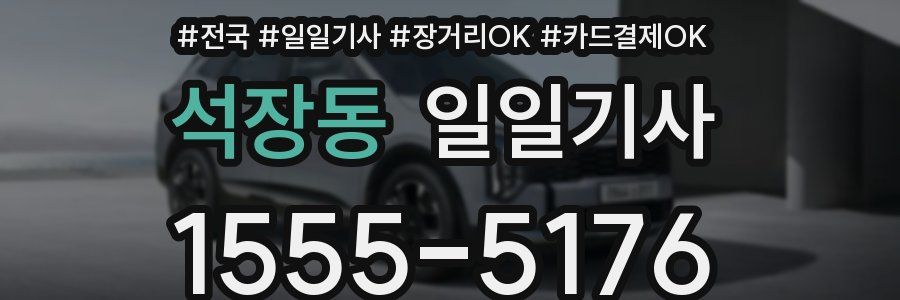 석장동 일일기사