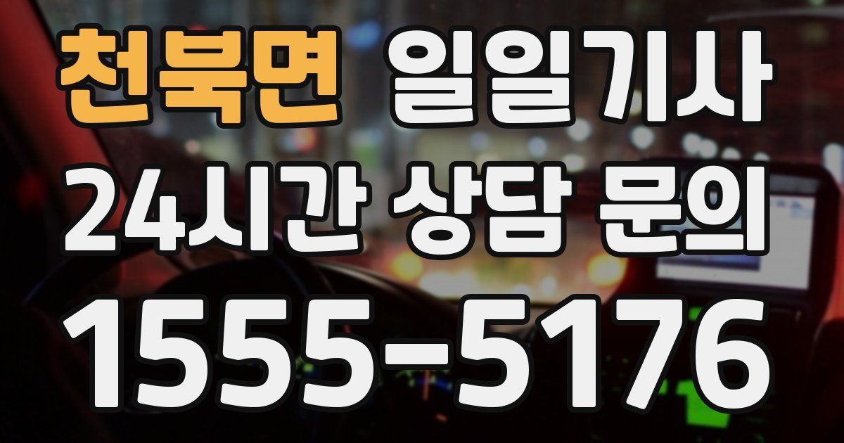 일일대리기사