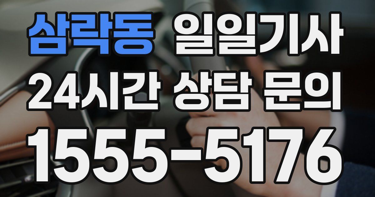 일일대리기사