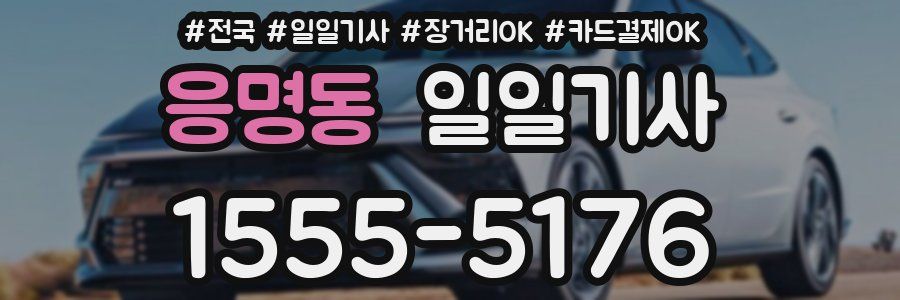 응명동 일일기사