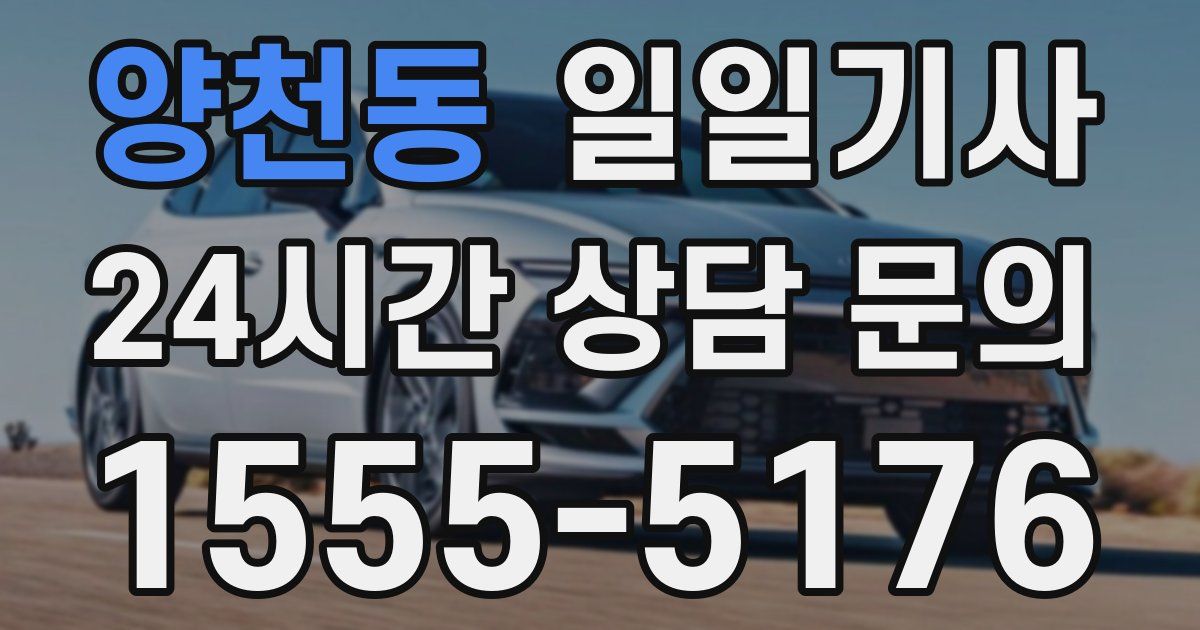 일일대리기사