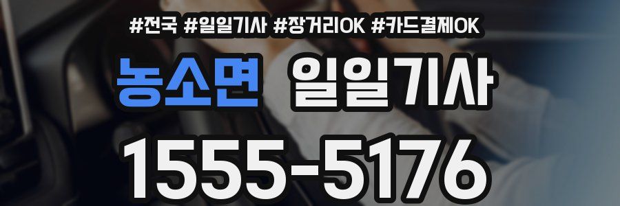 농소면 일일기사