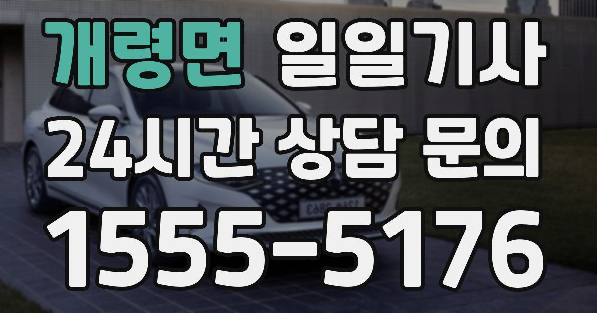 일일대리기사