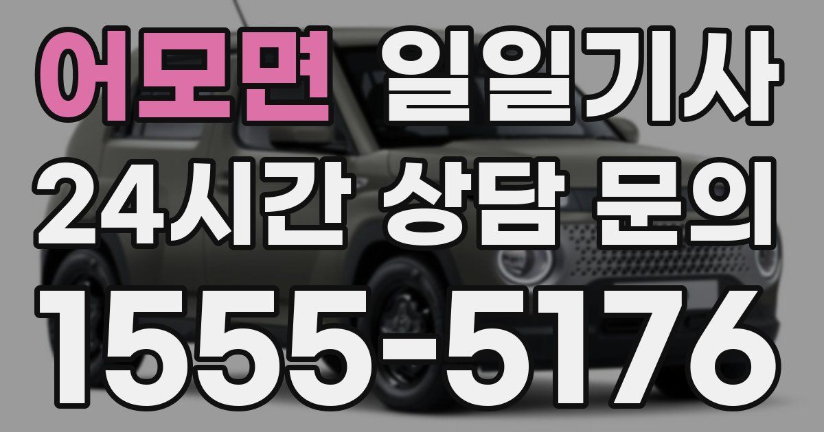 일일대리기사