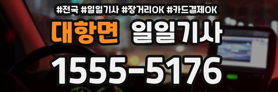 대항면 일일기사