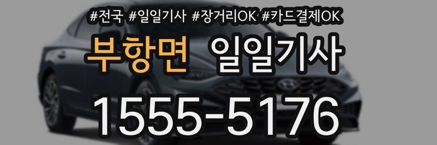 부항면 일일기사