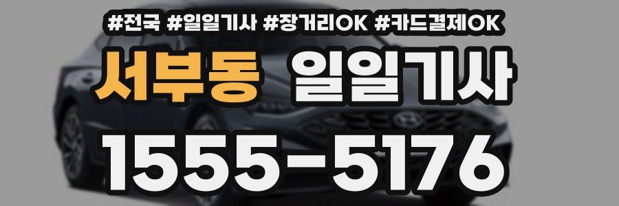 서부동 일일기사