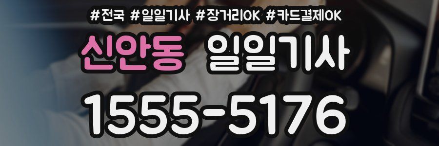 신안동 일일기사
