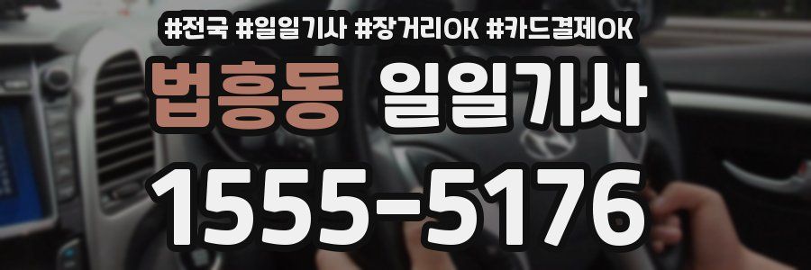 법흥동 일일기사