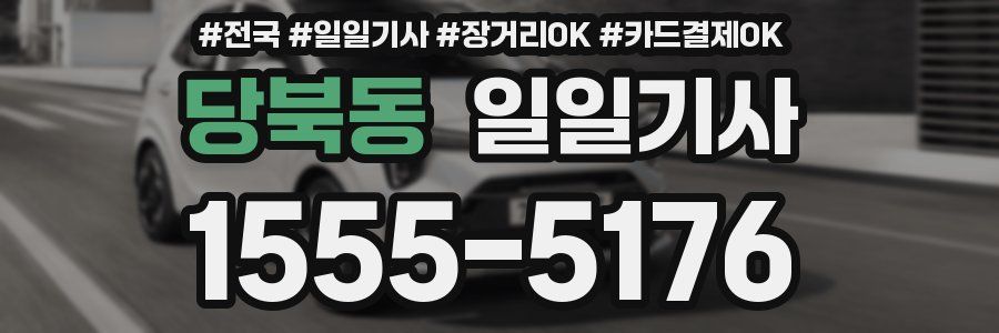 당북동 일일기사