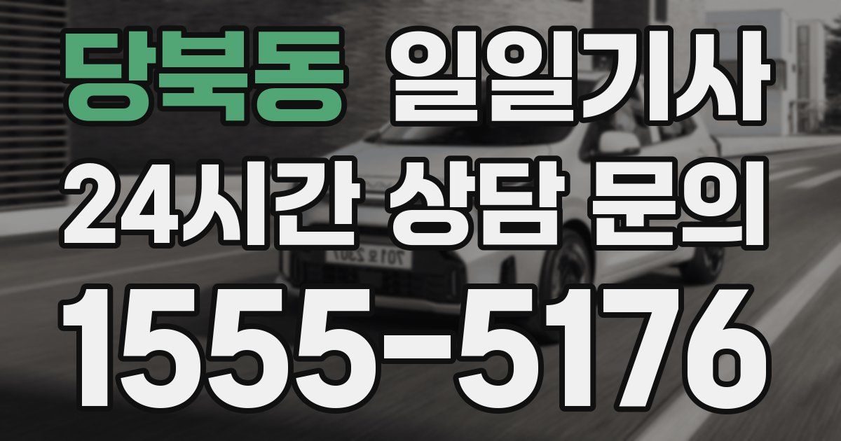 일일대리기사