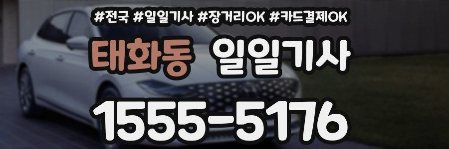 태화동 일일기사