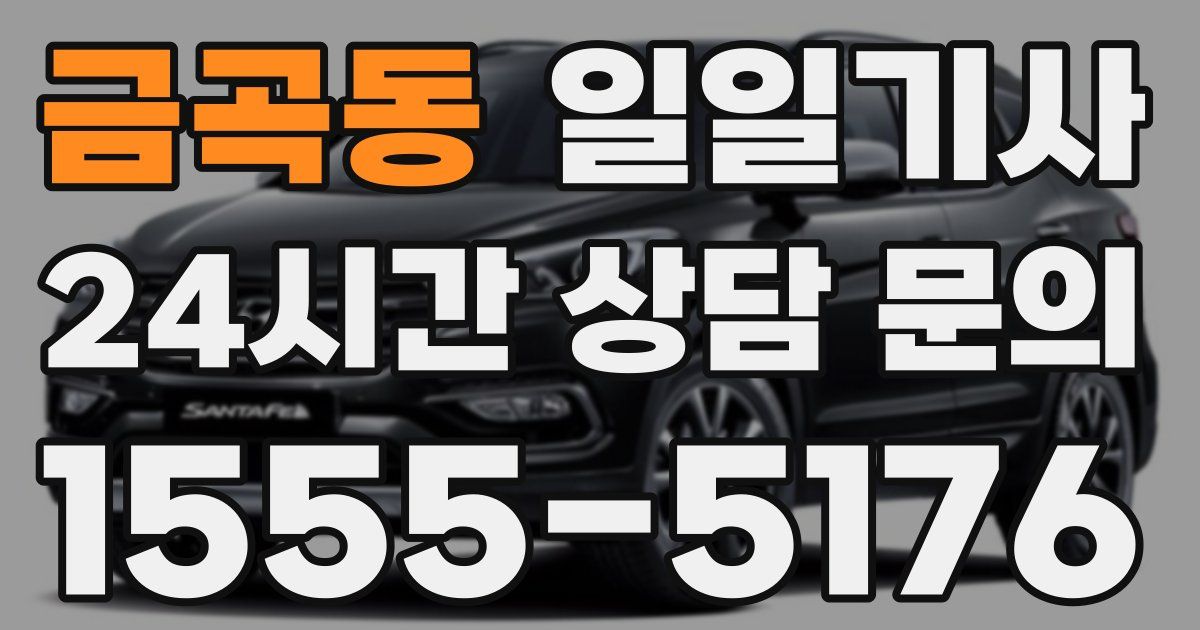 일일대리기사