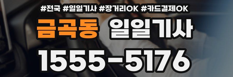 금곡동 일일기사