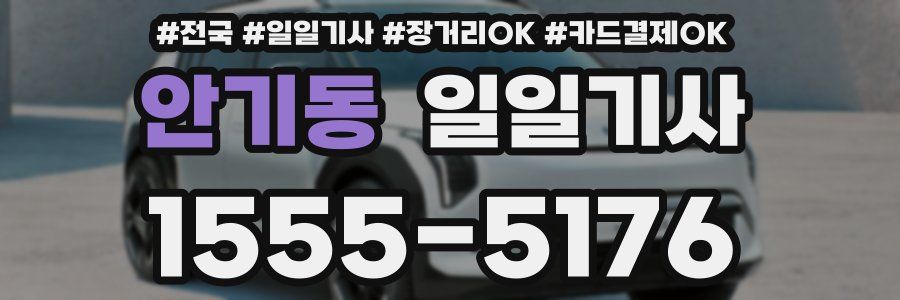 안기동 일일기사