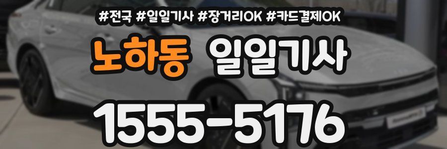 노하동 일일기사