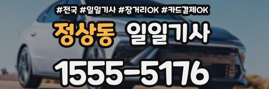 정상동 일일기사