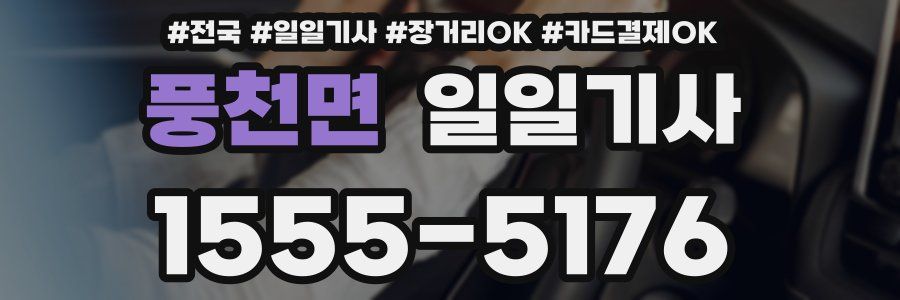 풍천면 일일기사