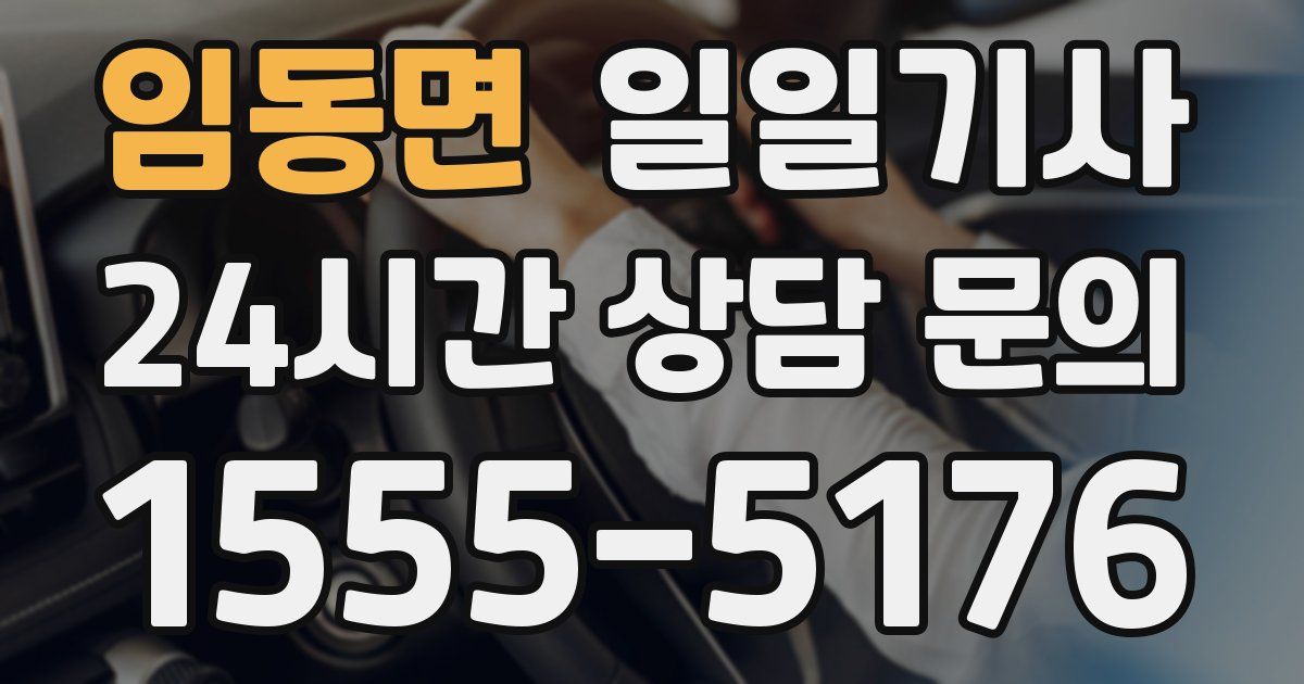 일일대리기사