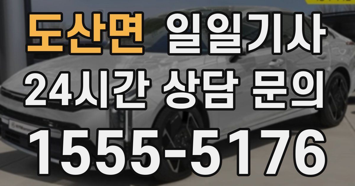 일일대리기사