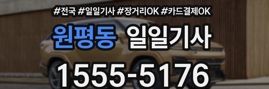 원평동 일일기사