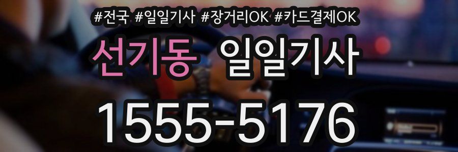 선기동 일일기사