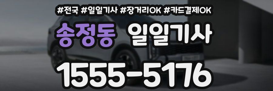 송정동 일일기사