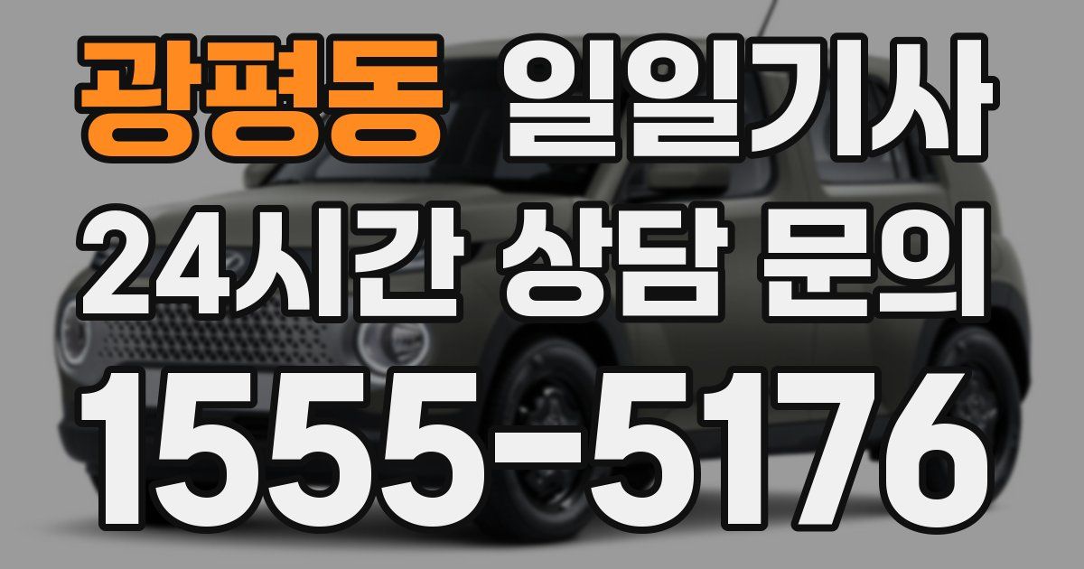 일일대리기사