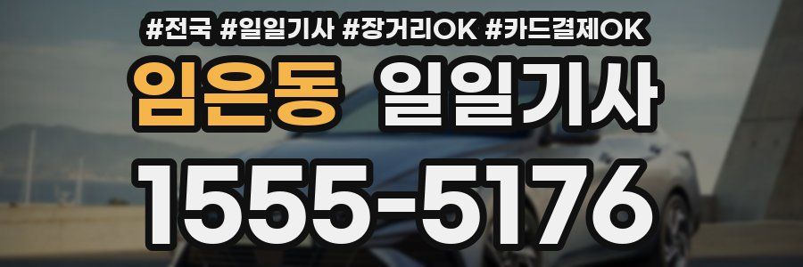 임은동 일일기사