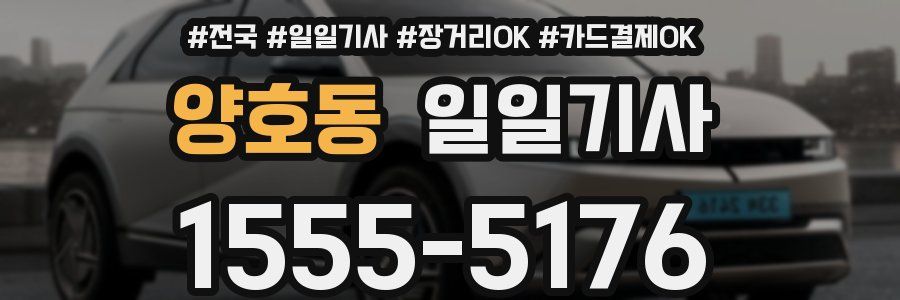 양호동 일일기사