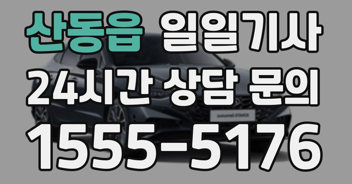 일일대리기사