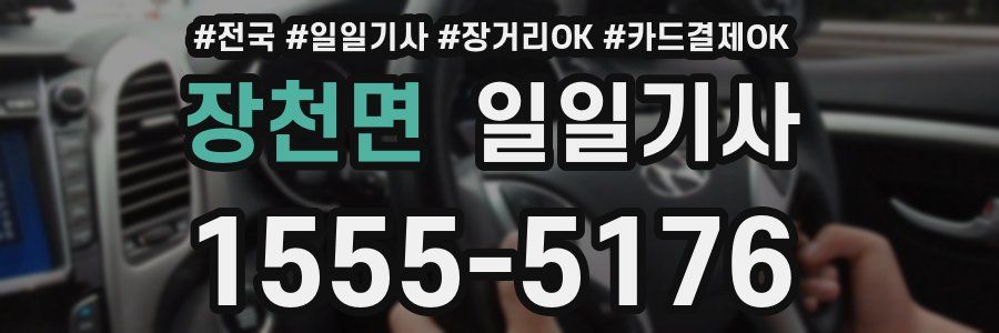 장천면 일일기사