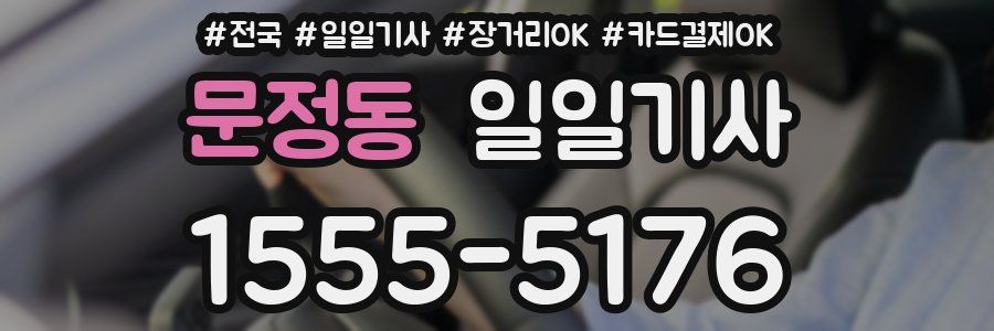 문정동 일일기사