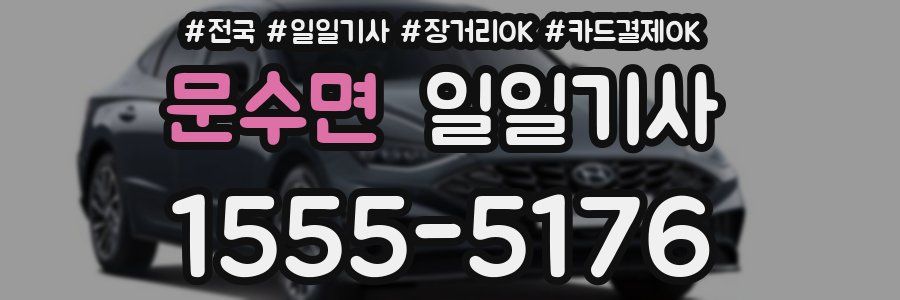 문수면 일일기사