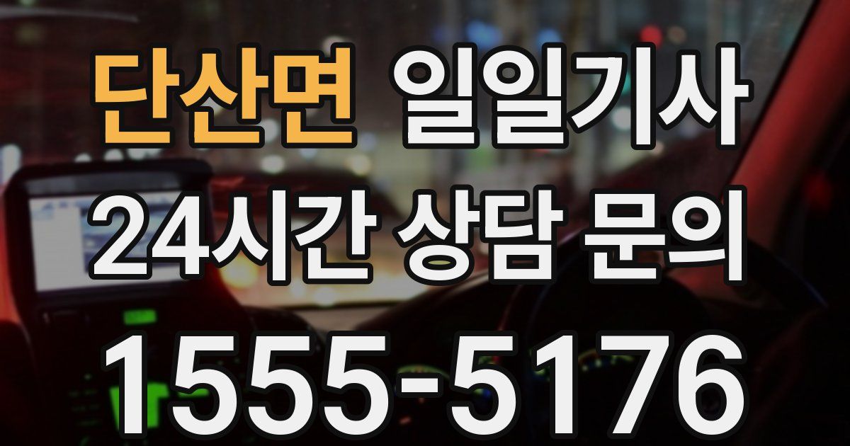 일일대리기사