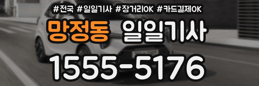 망정동 일일기사