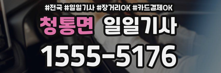 청통면 일일기사