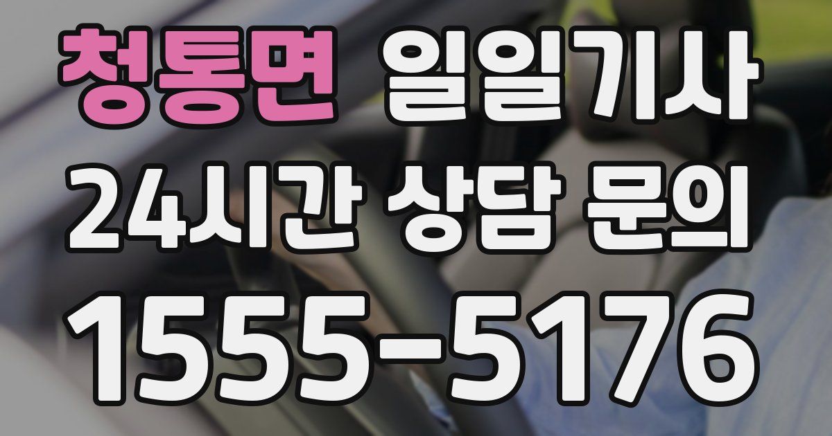 일일대리기사