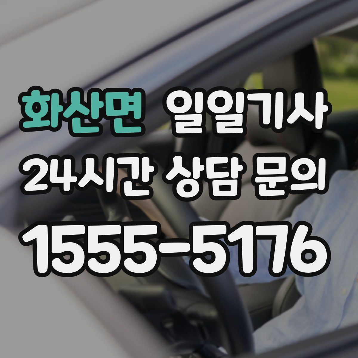일일기사