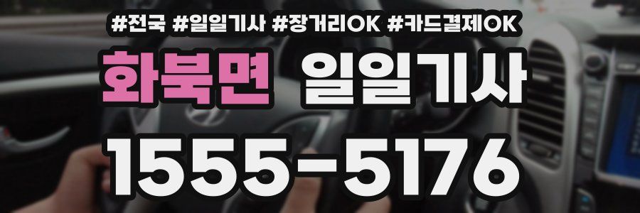 화북면 일일기사