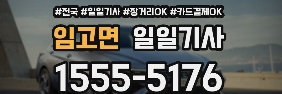 임고면 일일기사