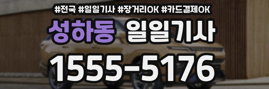 성하동 일일기사