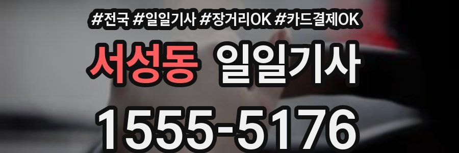 서성동 일일기사