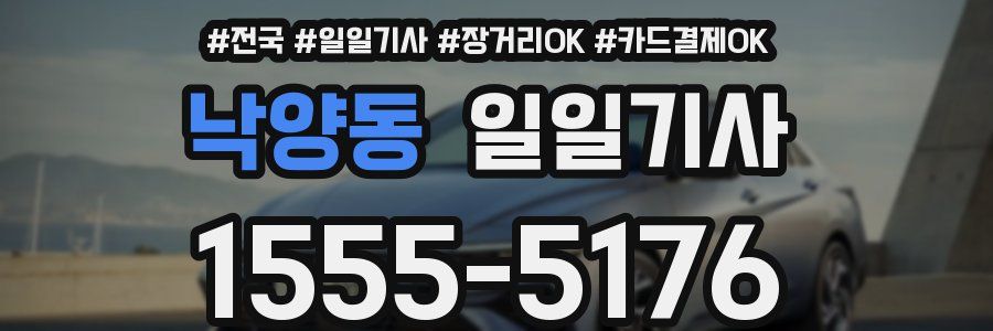 낙양동 일일기사