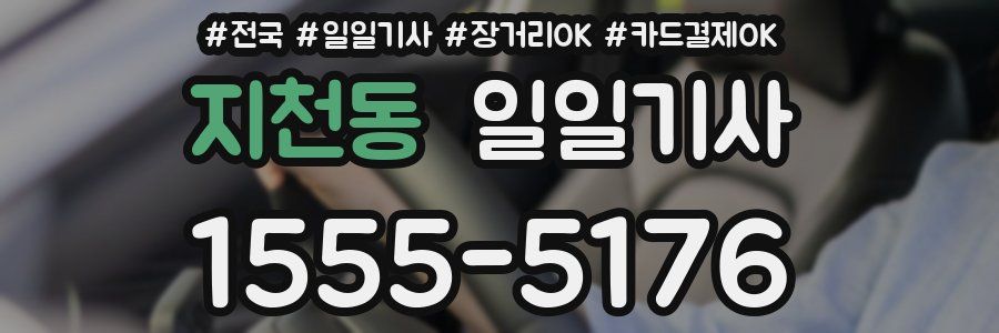 지천동 일일기사